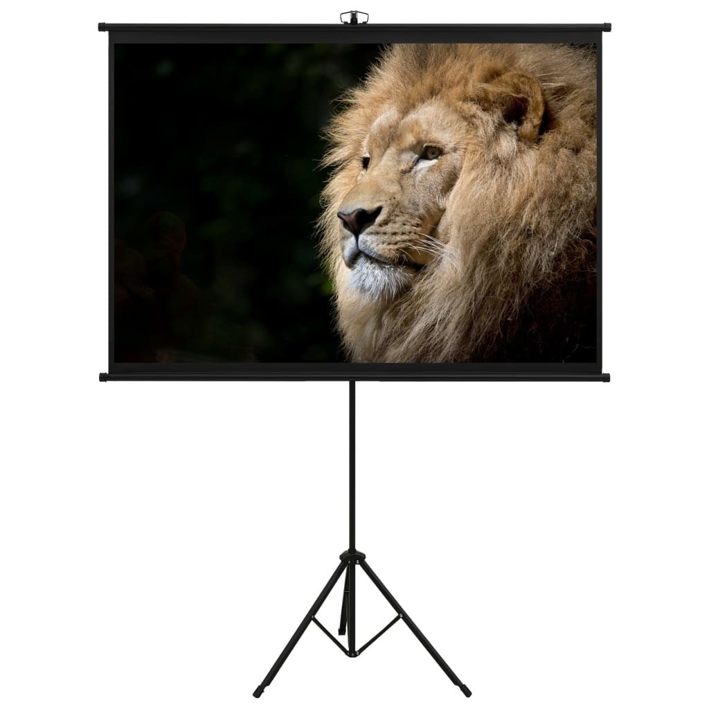 Projection Screen with Tripod 47" 1:1